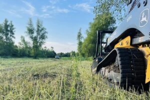 Brush Cutting